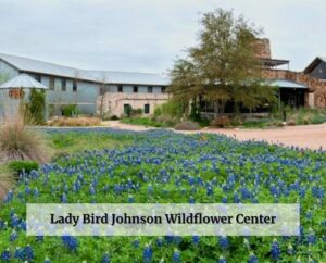 Lady Bird Johnson Wildflower Center - GALF Austin