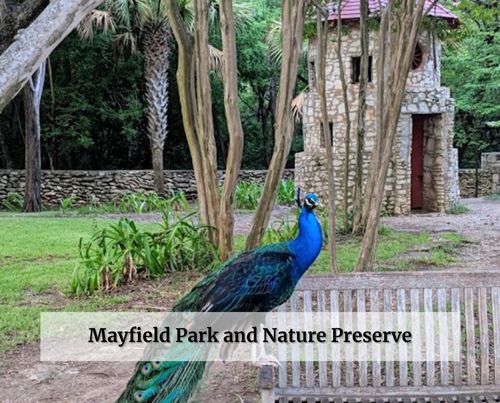 Mayfield Park and Nature Preserve