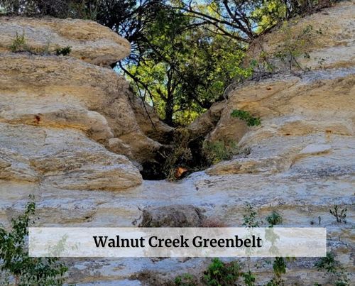 Walnut Creek Greenbelt