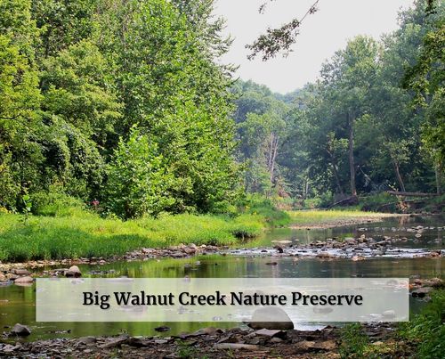 Big Walnut Creek Nature Preserve