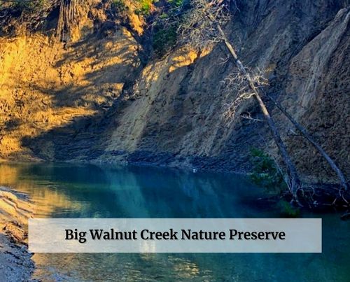 Big Walnut Creek Nature Preserve