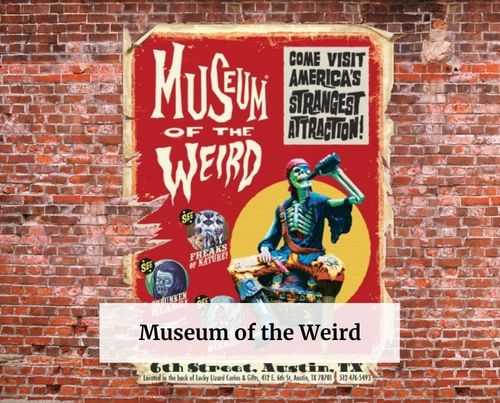 Museum of the Weird